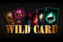 Wild Card slot